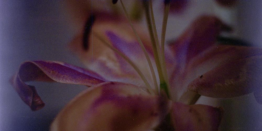 Křehkost bytí a ateliér živé hmoty vystavuje v Galerii Sýpka ve Valašské Meziříčí slovenská výtvarnice Ester Sabik