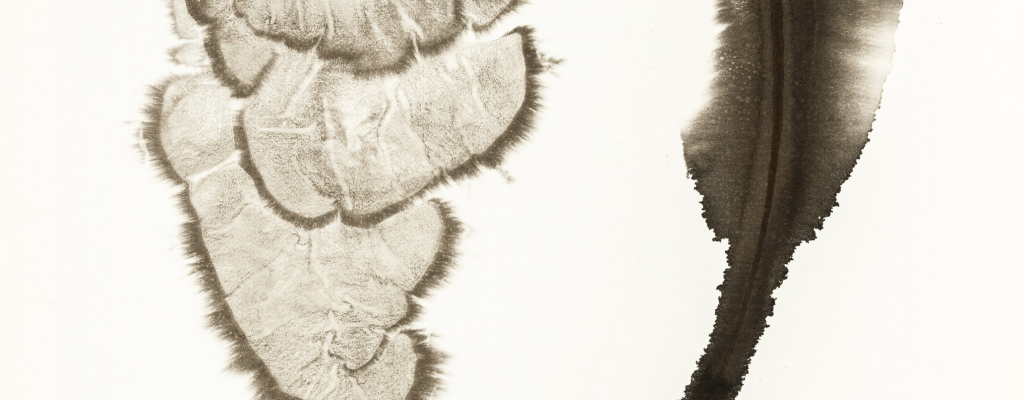 Náhodné kresby tuší Petra Nikla v meziříčské galerii