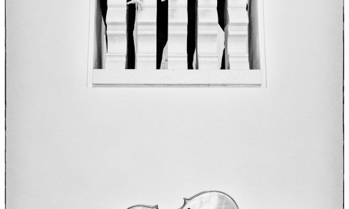 Přední české smyčcové Sedláčkovo kvarteto zahraje v Meziříčí