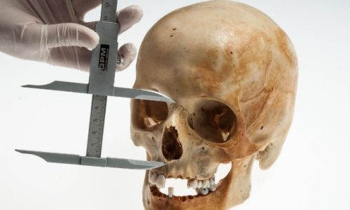 Dobrodružství kriminalistiky zavede návštěvníky do tajů zkoumání